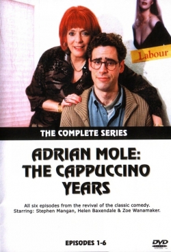 watch free Adrian Mole: The Cappuccino Years hd online