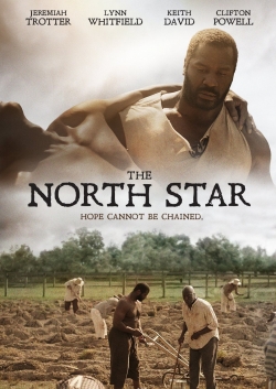 watch free The North Star hd online