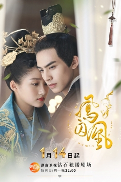 watch free Untouchable Lovers hd online