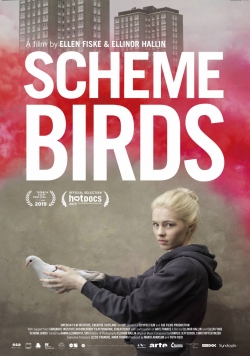 watch free Scheme Birds hd online