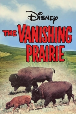 watch free The Vanishing Prairie hd online