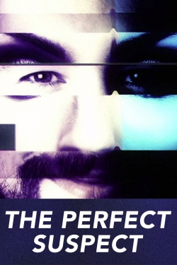 watch free The Perfect Suspect hd online