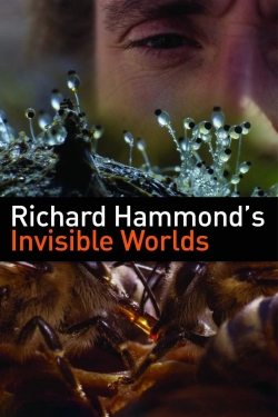 watch free Richard Hammond's Invisible Worlds hd online