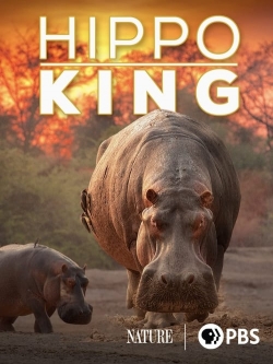 watch free Hippo King hd online