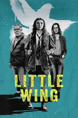 watch free Little Wing hd online
