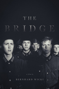 watch free The Bridge hd online