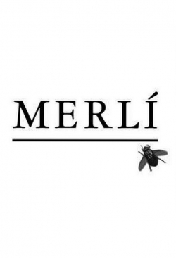 watch free Merlí hd online