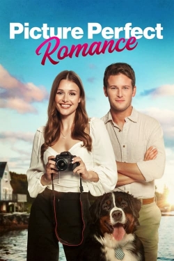 watch free Picture Perfect Romance hd online