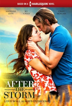 watch free After the Storm hd online