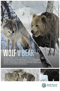 watch free Wolf vs Bear hd online