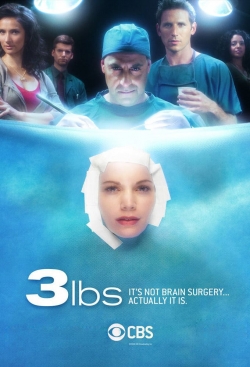 watch free 3 lbs hd online