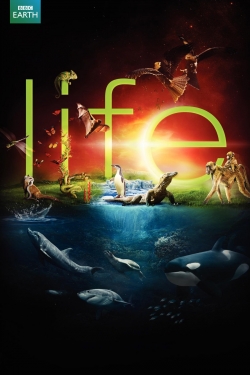 watch free Life hd online