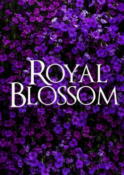 watch free Royal Blossom hd online