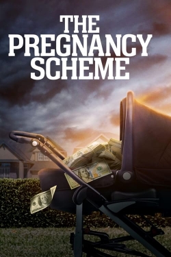 watch free The Pregnancy Scheme hd online