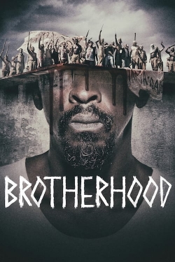 watch free Brotherhood hd online