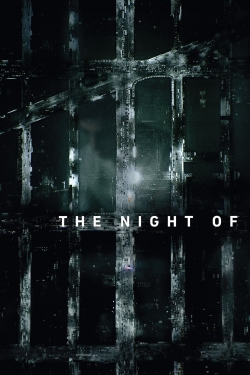 watch free The Night Of hd online