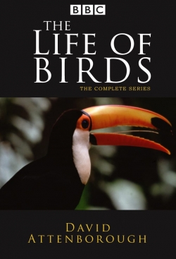 watch free The Life of Birds hd online