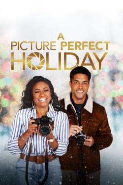 watch free A Picture Perfect Holiday hd online