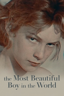 watch free The Most Beautiful Boy in the World hd online