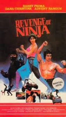watch free Revenge of the Ninja hd online