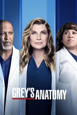 watch free Grey's Anatomy hd online
