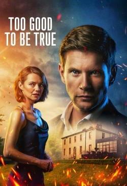 watch free Too Good To Be True hd online