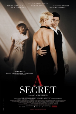 watch free A Secret hd online