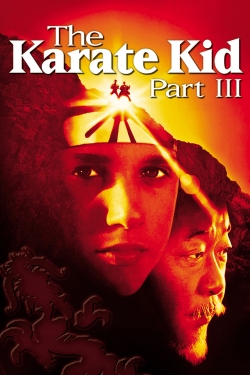 watch free The Karate Kid Part III hd online