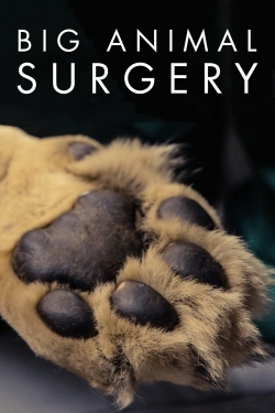 watch free Big Animal Surgery hd online