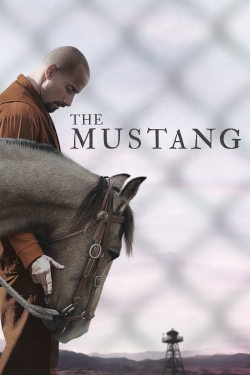 watch free The Mustang hd online