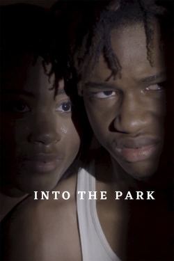watch free Into the Park hd online