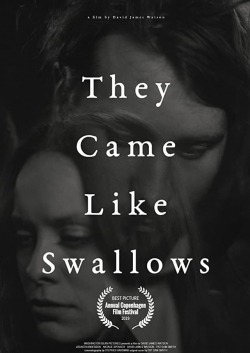 watch free They Came Like Swallows hd online
