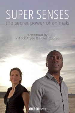 watch free Super Senses: The Secret Power of Animals hd online