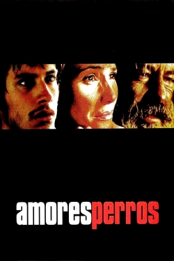 watch free Amores Perros hd online