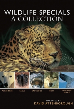 watch free BBC Wildlife Specials hd online