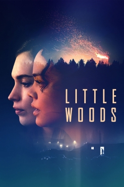 watch free Little Woods hd online