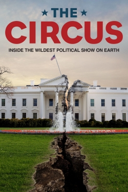 watch free The Circus hd online