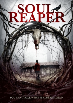 watch free Soul Reaper hd online