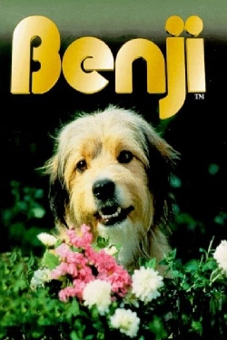 watch free Benji hd online