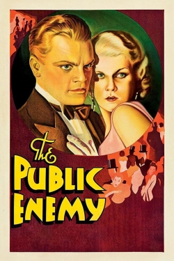 watch free The Public Enemy hd online