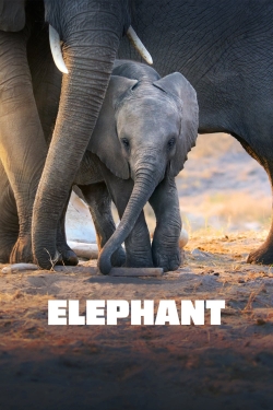 watch free Elephant hd online