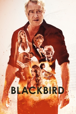 watch free Blackbird hd online