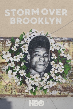 watch free Yusuf Hawkins: Storm Over Brooklyn hd online