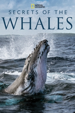 watch free Secrets of the Whales hd online