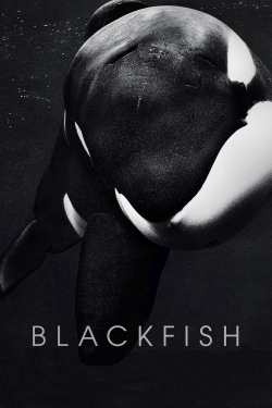 watch free Blackfish hd online