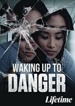 watch free Waking Up To Danger hd online
