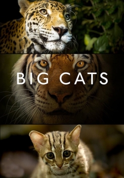 watch free Big Cats hd online