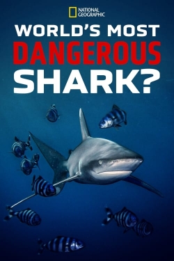 watch free World's Most Dangerous Shark? hd online