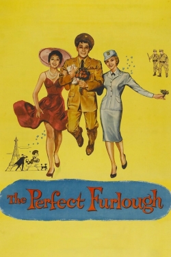 watch free The Perfect Furlough hd online