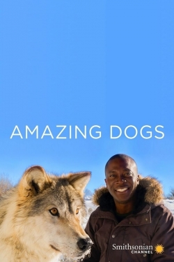 watch free Amazing Dogs hd online